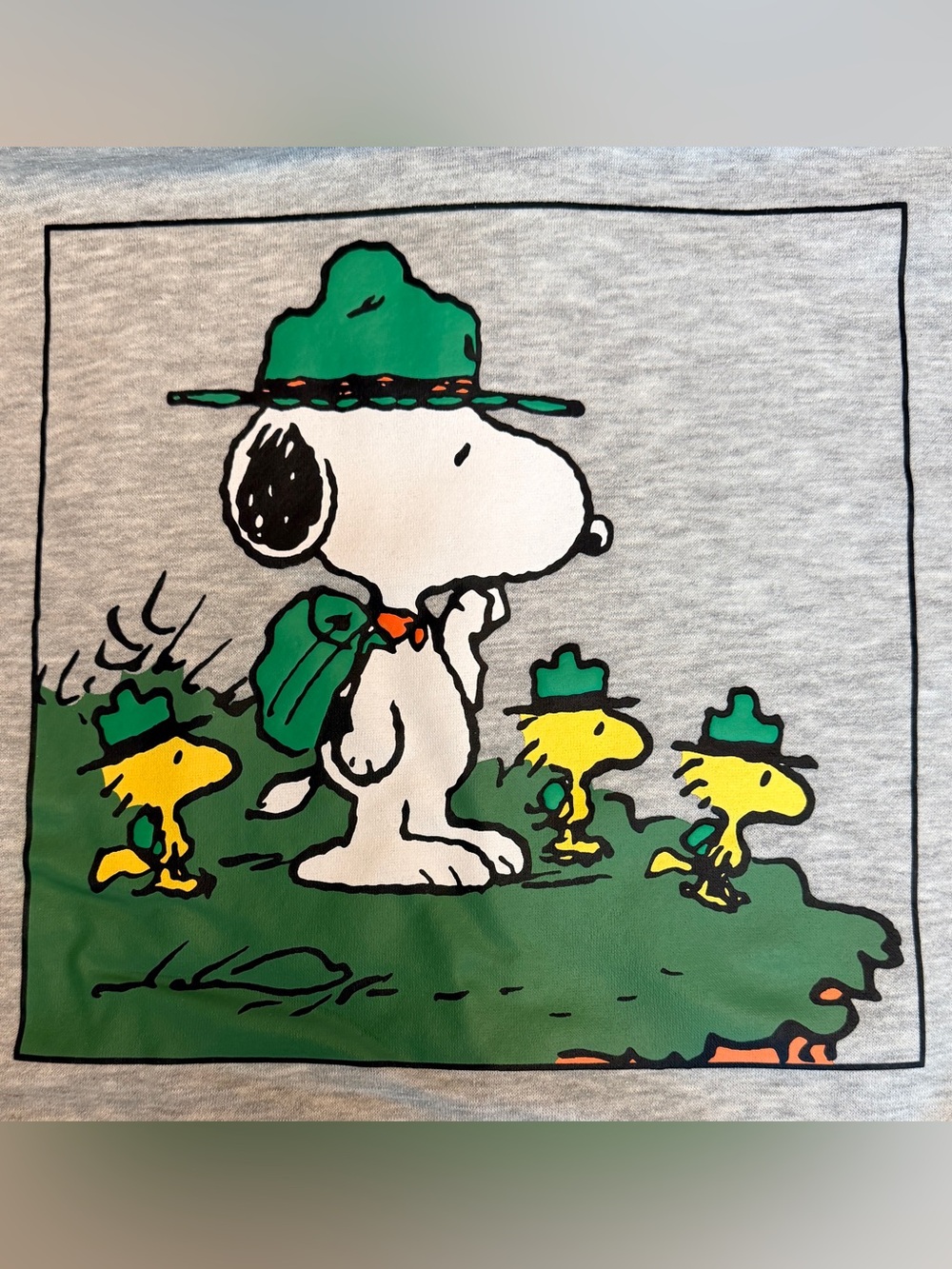 Peanuts Camping Snoopy Woodstock Gray Pullover Hoodie Size Medium Cotton Polyest